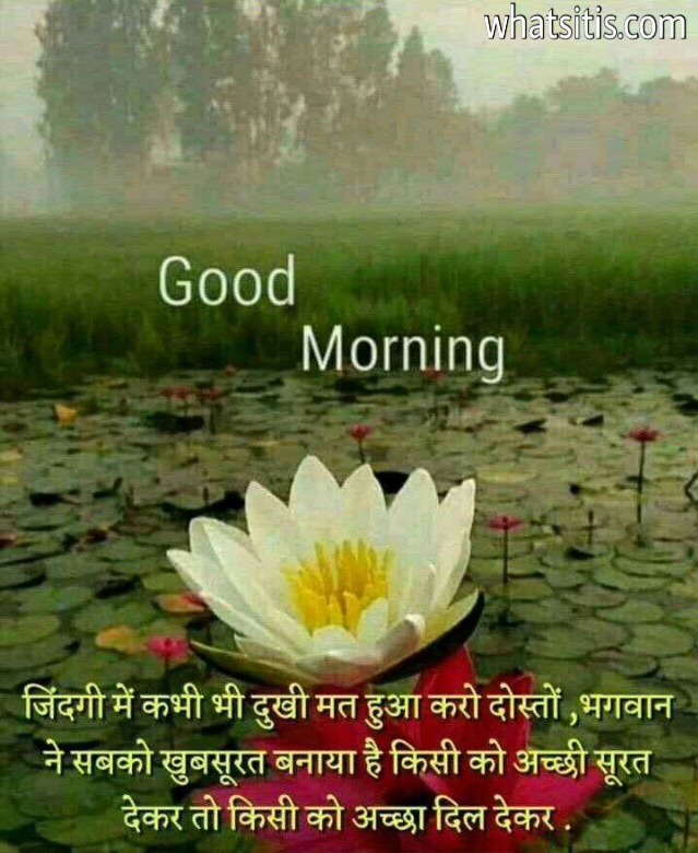 Good morning shayari in hindi with photo 