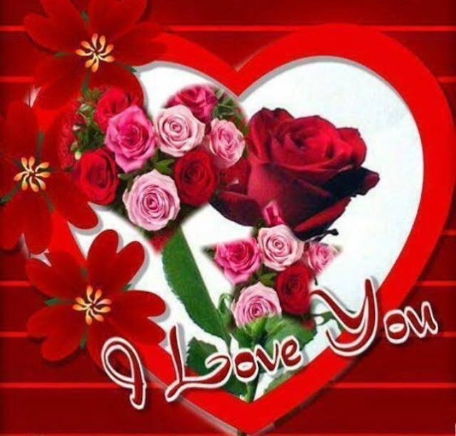 Whatsapp dp love and roses