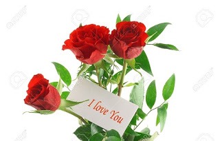 I love you rose Latest Valentine's Day Wishes Images For Husband Wife & Lovers 